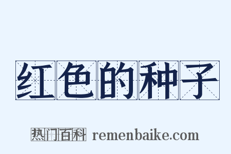 红色的种子是什么意思的图片